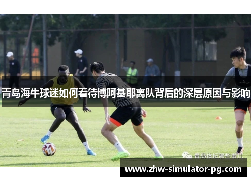 青岛海牛球迷如何看待博阿基耶离队背后的深层原因与影响