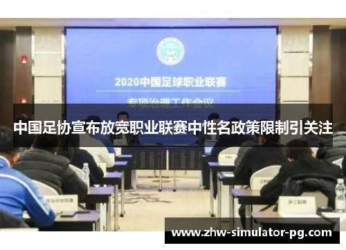 中国足协宣布放宽职业联赛中性名政策限制引关注 中国足协宣布放宽职业联赛中性名政策限制引关注
